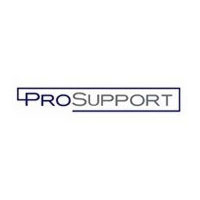 Netgear ProSupport XpressHW (PRR0333-100UKS)
